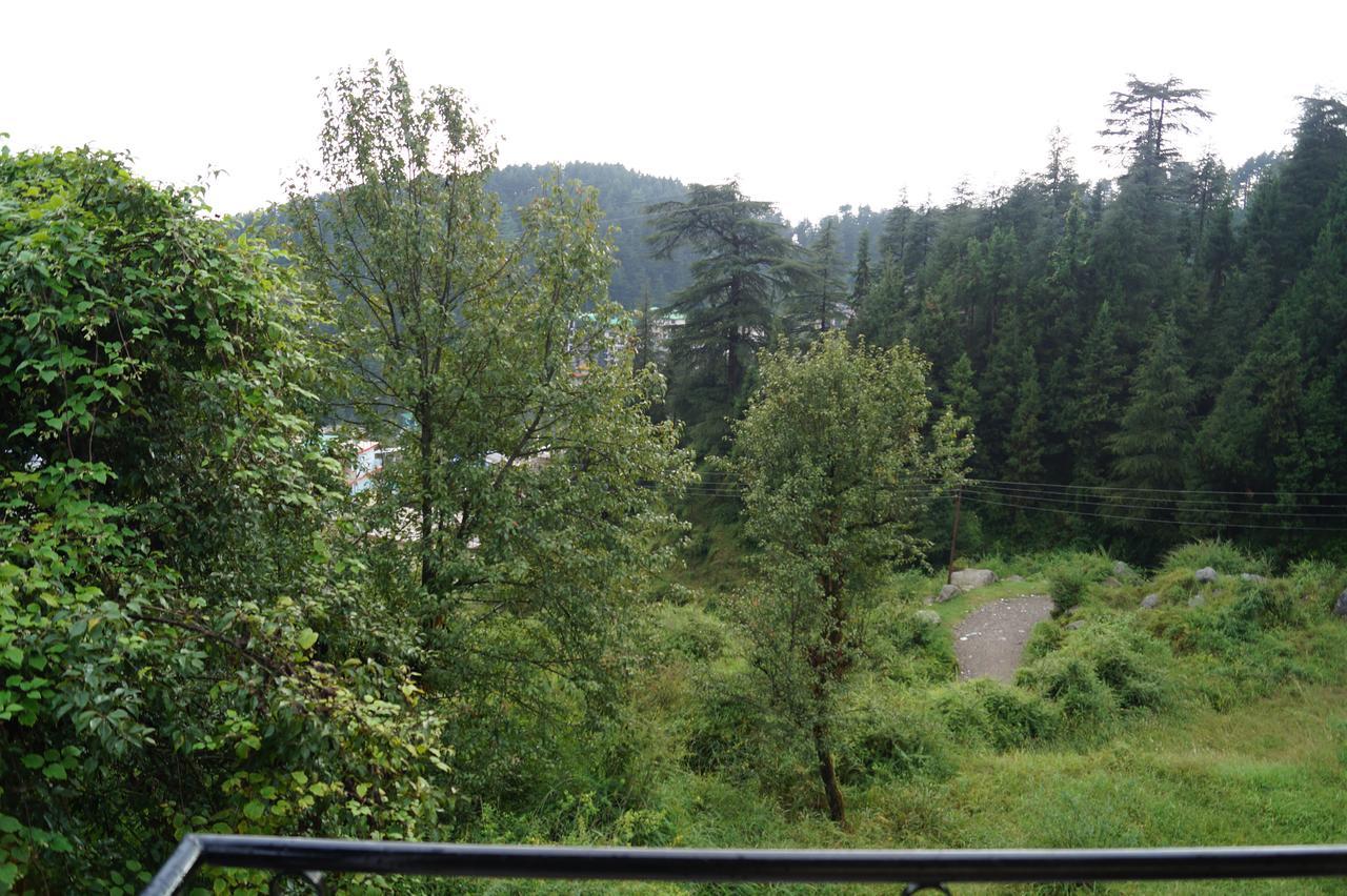Hotel Shivalay Дармсала Экстерьер фото